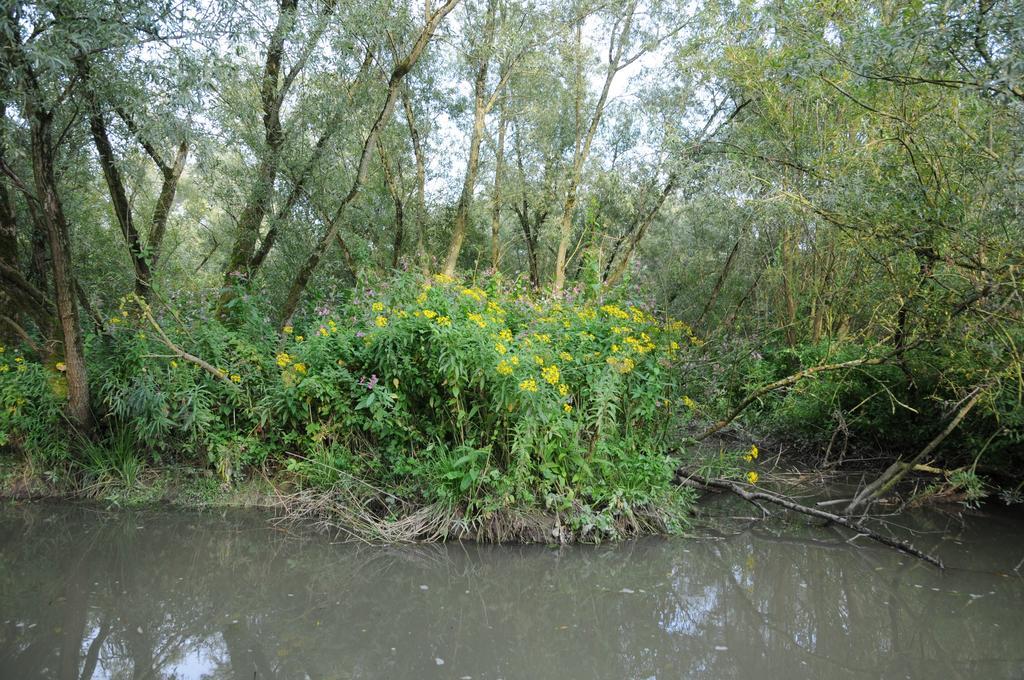 De Brabantse Biesbosch Hotel Werkendam Kültér fotó