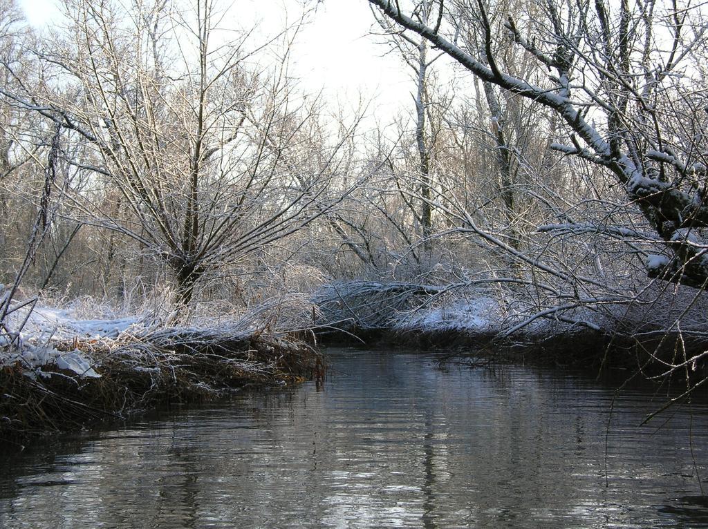 De Brabantse Biesbosch Hotel Werkendam Kültér fotó