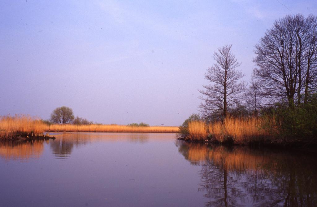 De Brabantse Biesbosch Hotel Werkendam Kültér fotó