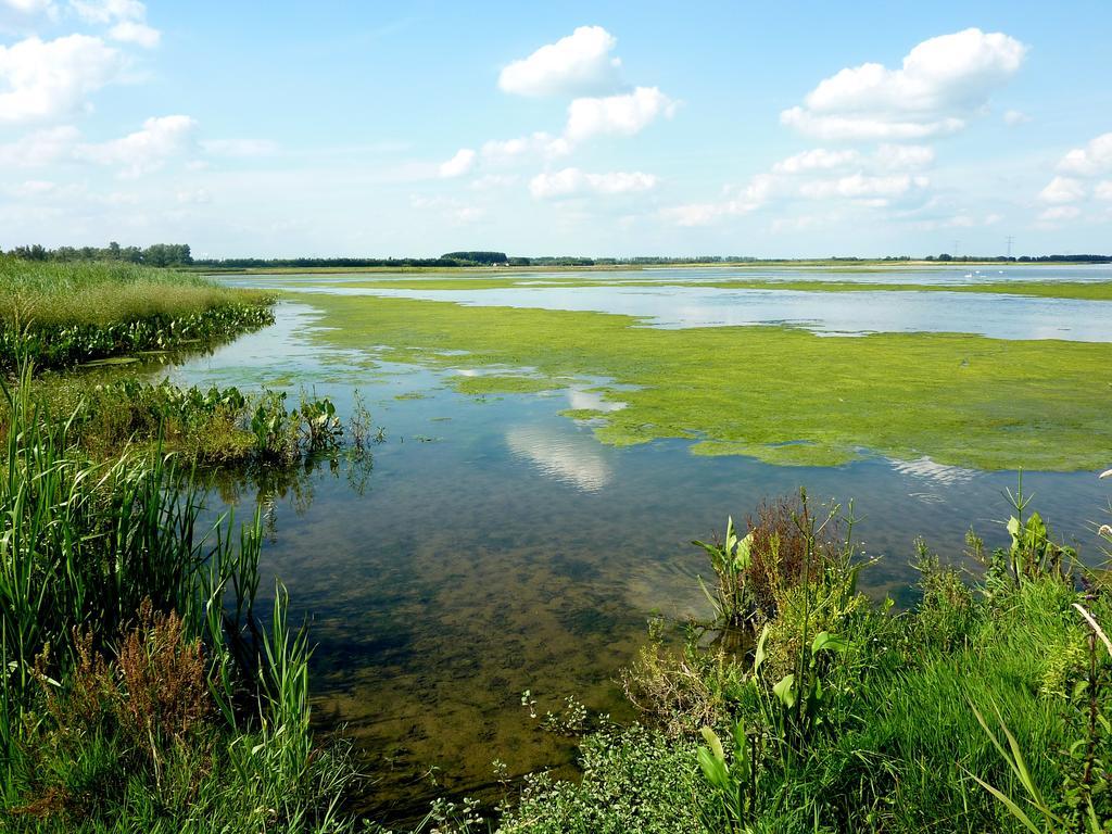 De Brabantse Biesbosch Hotel Werkendam Kültér fotó