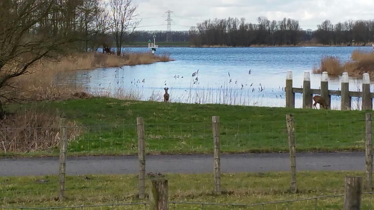 De Brabantse Biesbosch Hotel Werkendam Kültér fotó