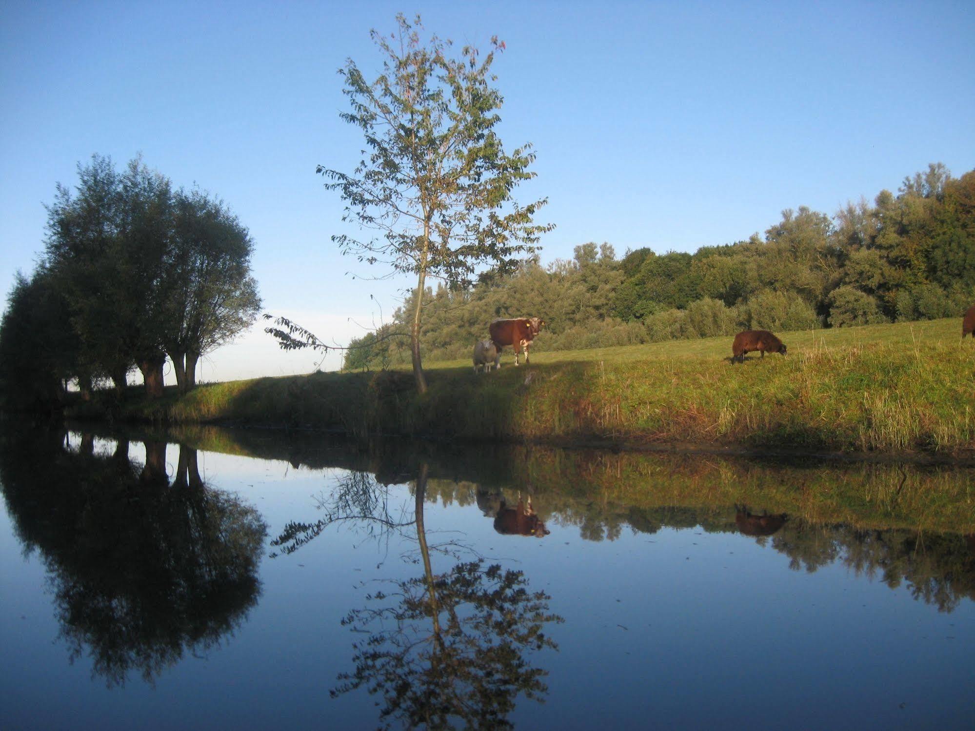 De Brabantse Biesbosch Hotel Werkendam Kültér fotó