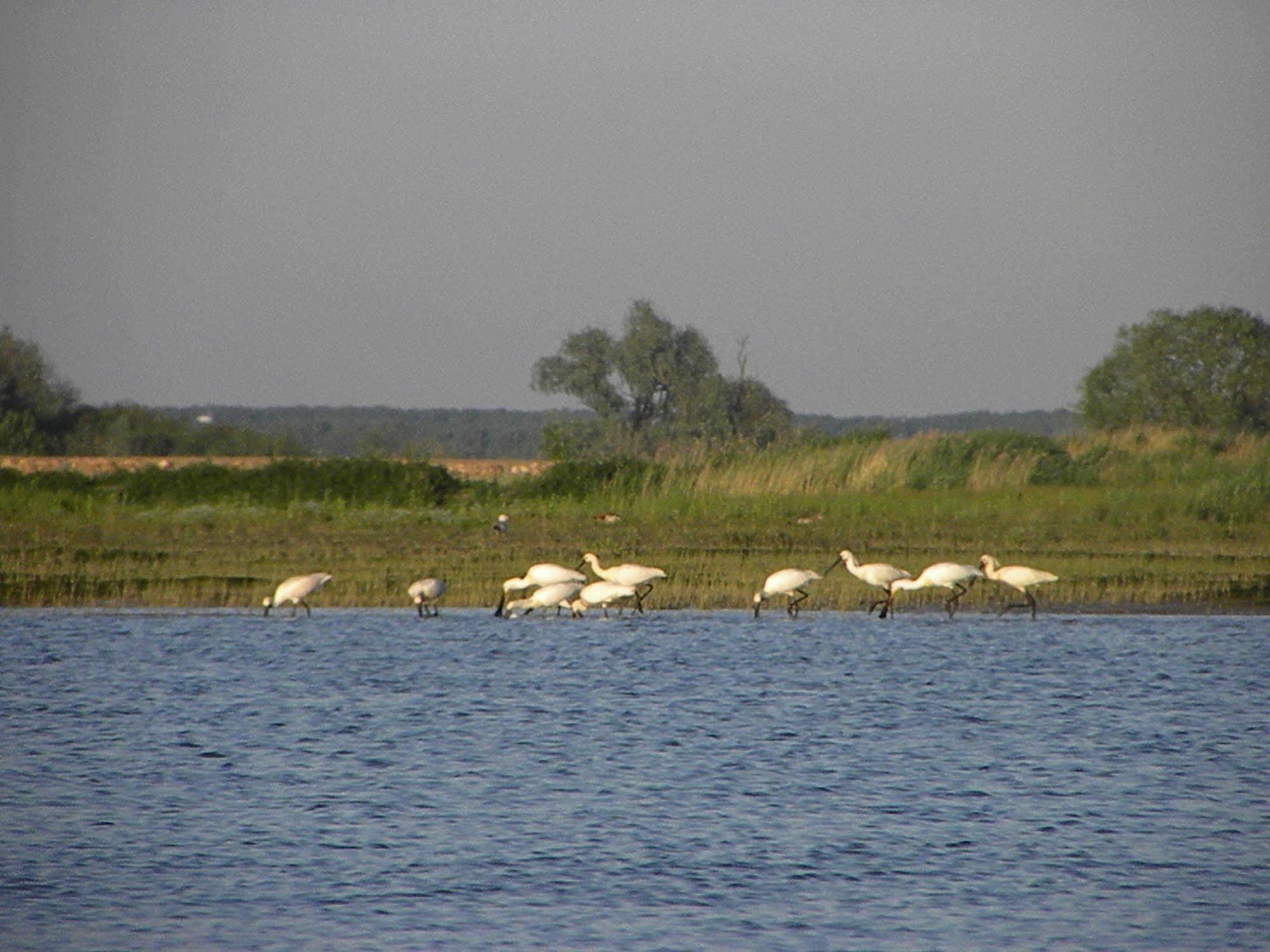 De Brabantse Biesbosch Hotel Werkendam Kültér fotó