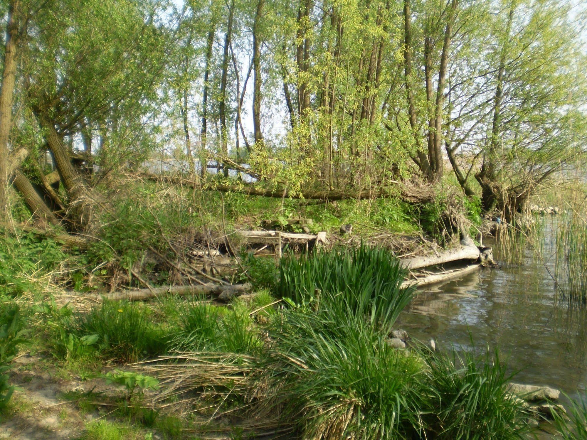 De Brabantse Biesbosch Hotel Werkendam Kültér fotó